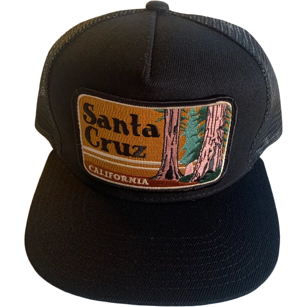Santa Cruz Trucker alternate view