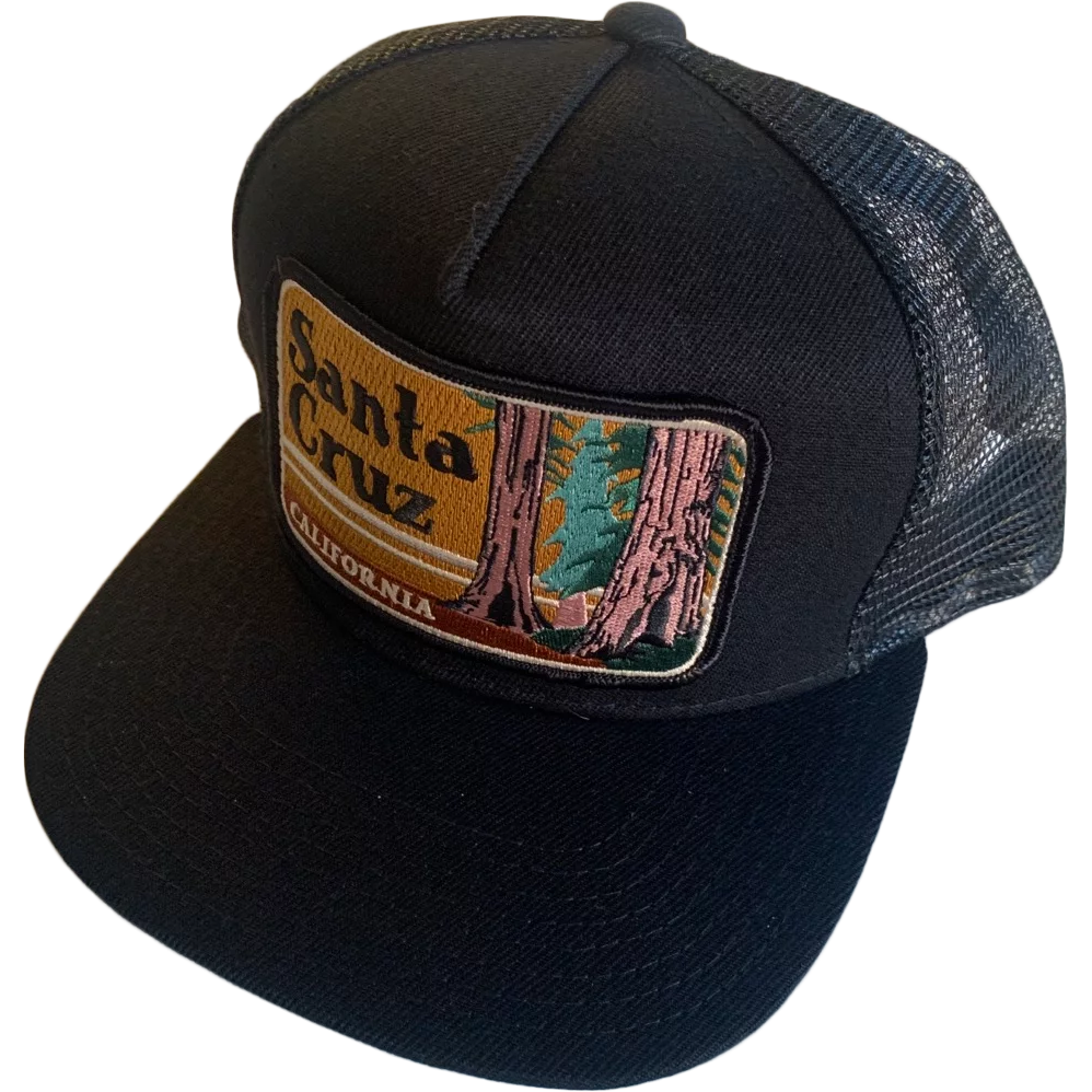 Santa Cruz Trucker alternate view