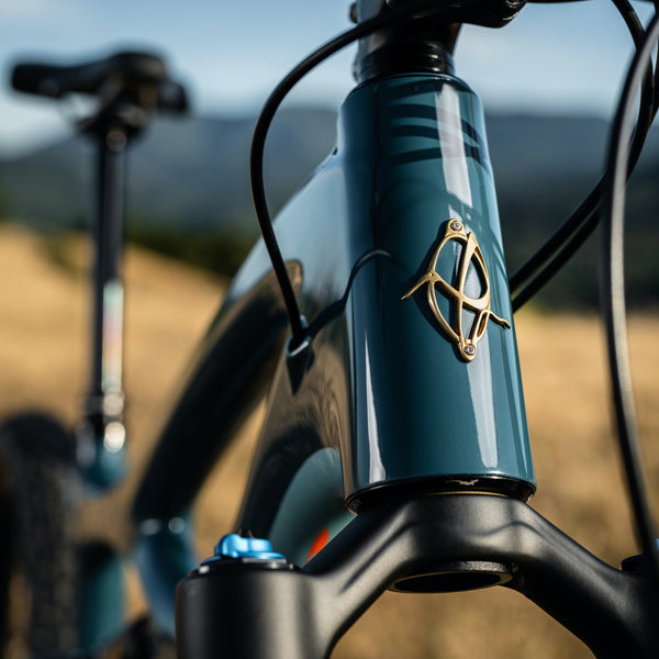 Mojo 4 SLX, Ibis Mojo 4 SLX Dirty White Board