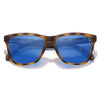 Tortoise + Blue Polarized