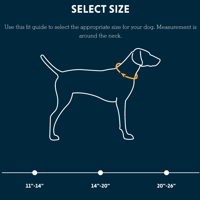 Flat Out Dog Collar alternate view