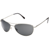 Silver/Polarized Gray