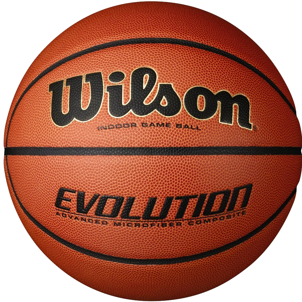 Evolution Game Basketball - 29.5